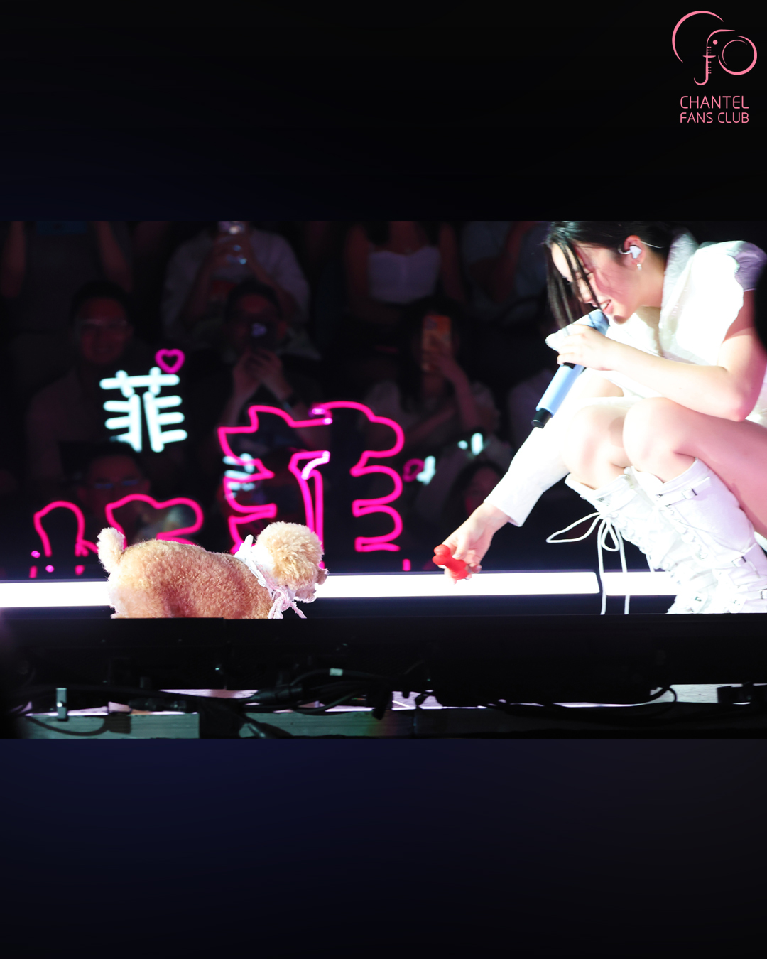 想飛 Live Concert 2026