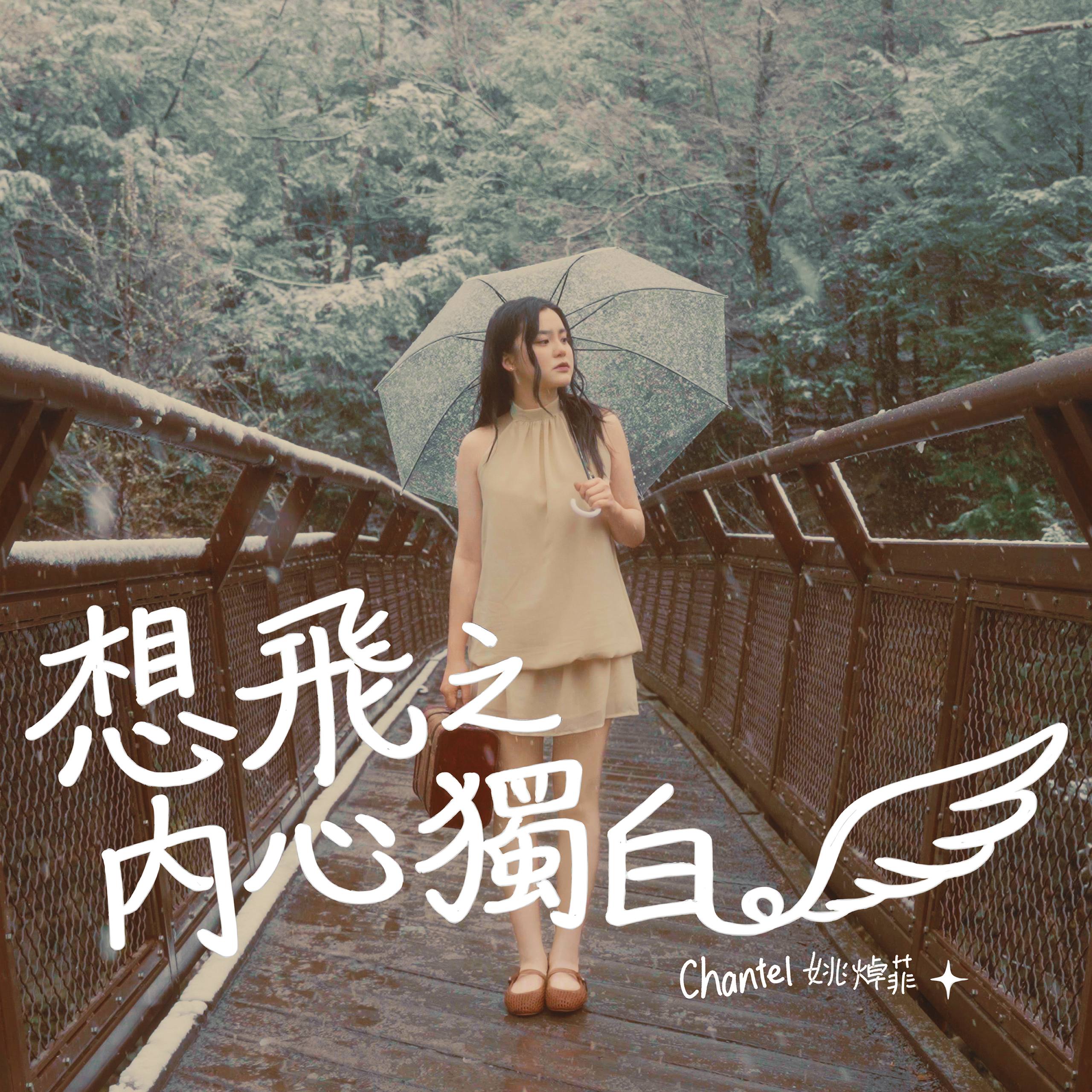 想飛之內心獨白 MV